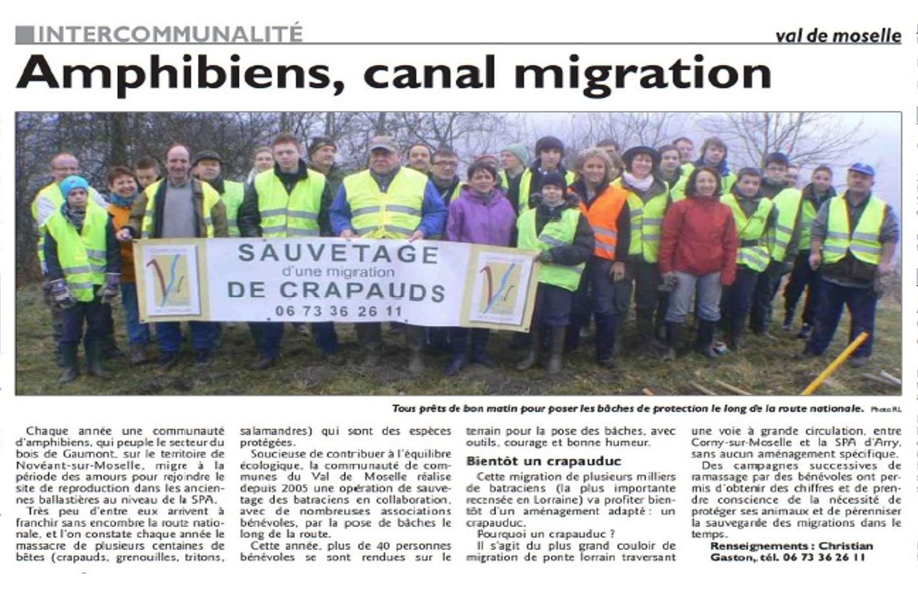 Sauver les batraciens