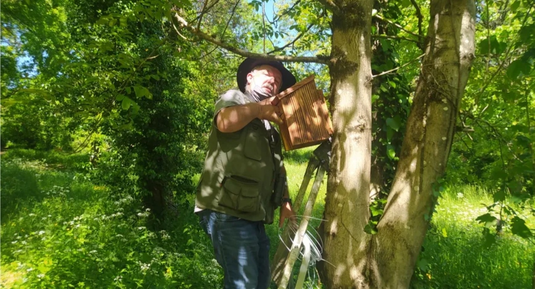 Une association installe des nichoirs à oiseaux