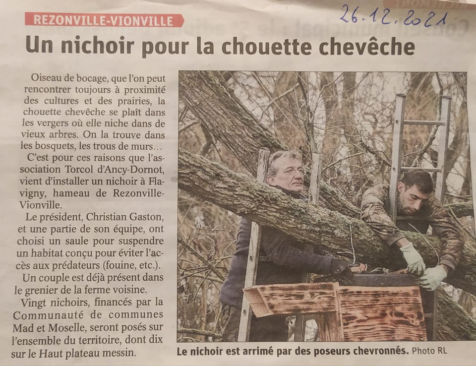 Un nichoir pour la chouette chevêche