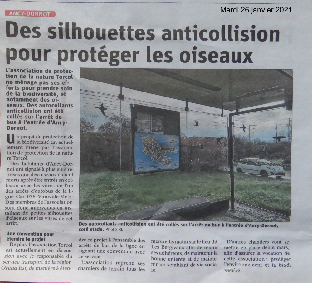 Des silhouettes anticollision pour protéger les oiseaux