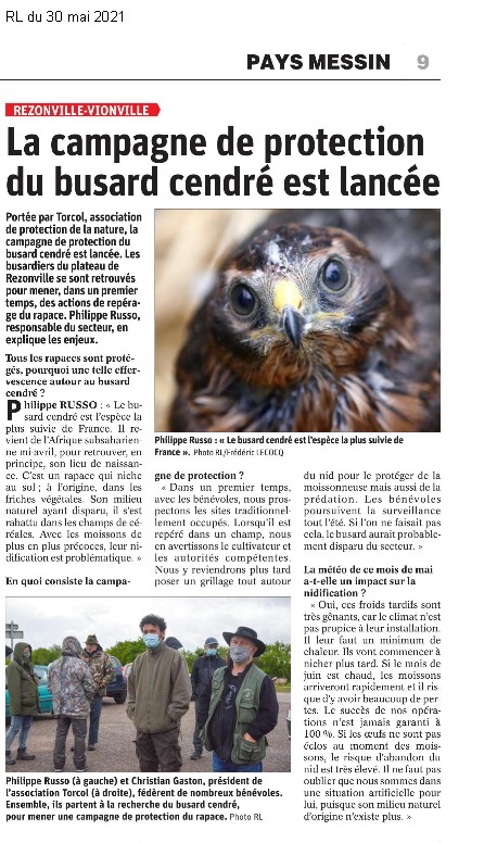 Campagne de protection du busard cendré 2021