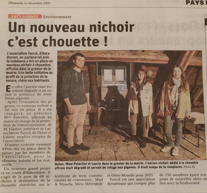 Un nouveau nichoir c’est chouette !