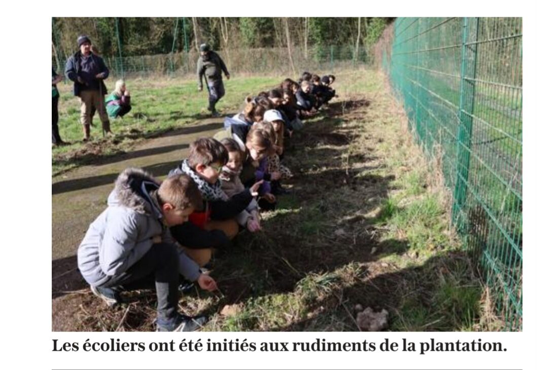 Plantations et nichoirs au programme des écoliers