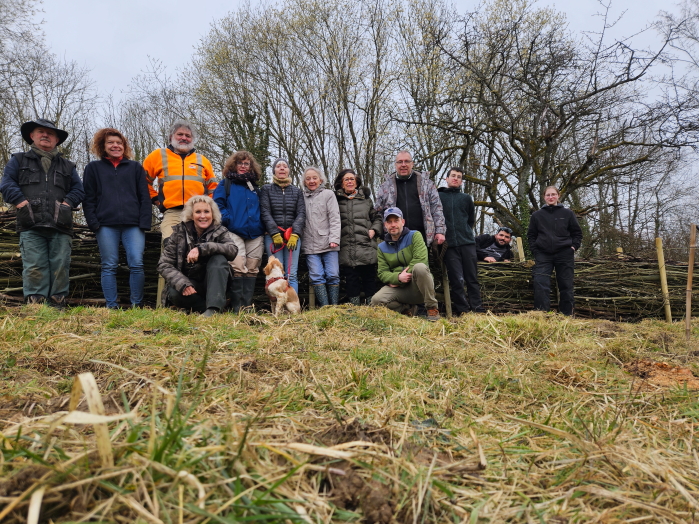 Création d’une haie sèche