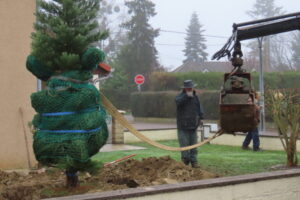 597389720_2658882997797566_6103005605946183941_n-768x512