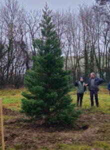 597571396_2658889754463557_7878526513646012716_n