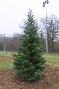 597791380_2658889821130217_6317460612276436774_n