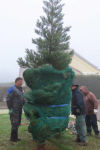 599941413_2658882557797610_5576523624983457731_n