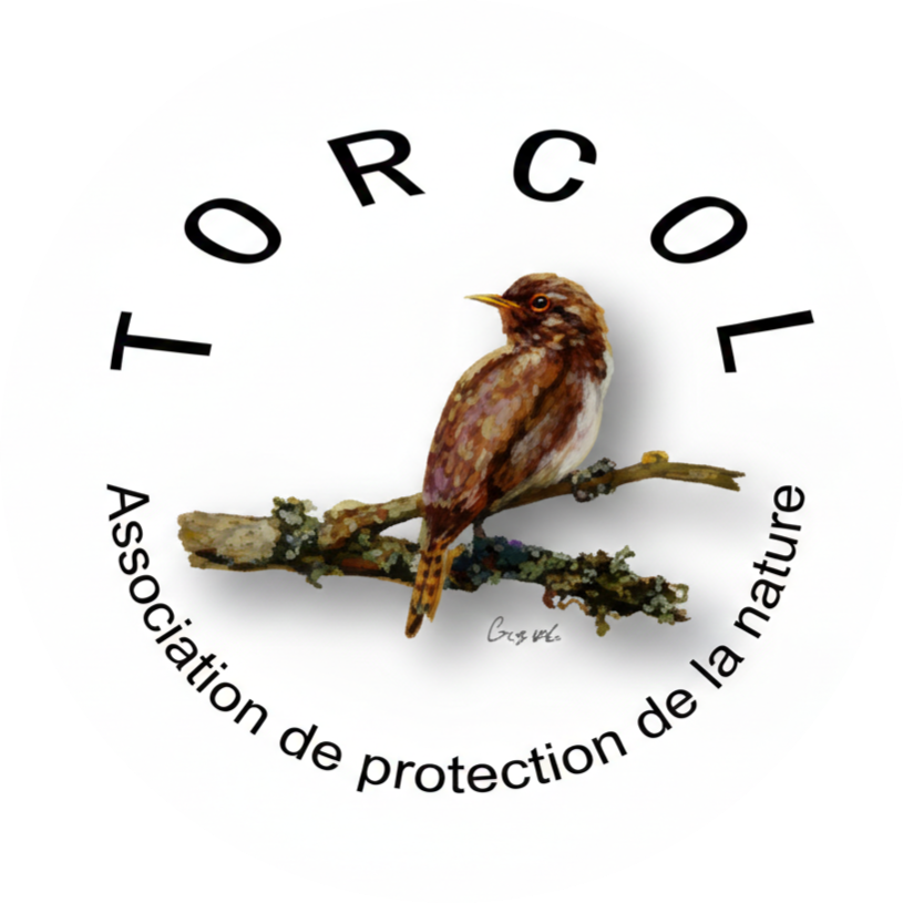 Association TORCOL