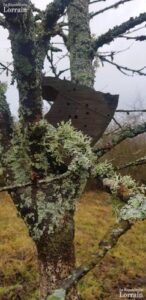 07323e33-7a9a-4342-87f3-6c634f2397aa