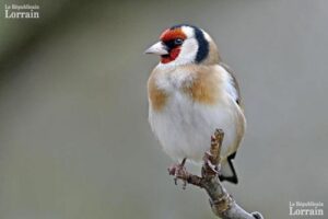 2efcdc8f-661d-4432-8fa1-5ba69fcddb88