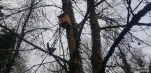 3f1842e6-cee6-44bb-971a-fda29b6d4f68