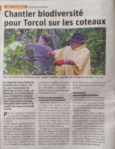 73513598_949596975392852_6168496648298168320_n