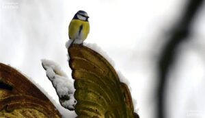 7b97adba-8e8d-41c0-ac56-c64b927a6bcb