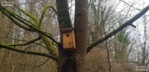 8b3ff932-fa17-4463-ba07-4ee280f51d2e