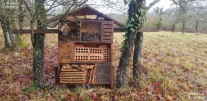 9a50f407-95c1-46c4-ad7d-78b9b26da1e5