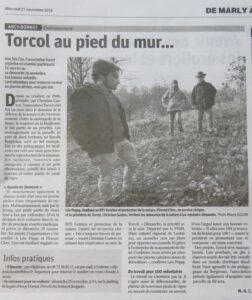 Mur-de-pierres-sèches-2018