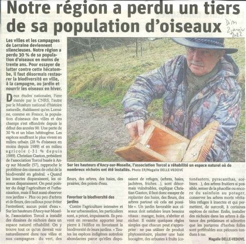 Notre région a perdu un tiers de sa population d’oiseaux