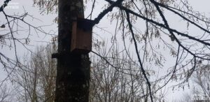 ae0e596c-b37a-4aa1-863d-08af1a2e871f