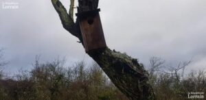 d586774d-f531-4204-8553-2872c029af56