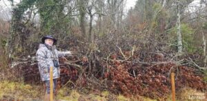 d6354054-ecea-4ef4-824e-2fefc41d6dbf