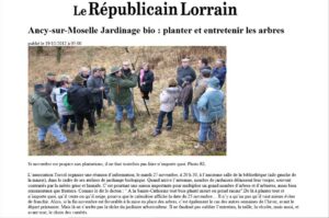 planter-et-entretenir-les-arbres-19-novembre-2012